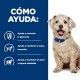 hills-canine-wd-diabetes-care-prescription-diet-como-ayuda