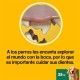 dentastix-25-kg-limpiador-dental-pedigree-bolsa-7-sticks-05