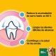 dentastix-25-kg-limpiador-dental-pedigree-bolsa-7-sticks-04