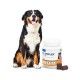 movoflex-joint-and-mobility-support-comprimido-masticable-virbac-grande-02