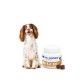 movoflex-joint-and-mobility-support-comprimido-masticable-virbac-mediano-02