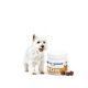 movoflex-joint-and-mobility-support-comprimido-masticable-virbac-pequeño-02
