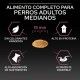 purina-pro-plan-sensitive-skin-salmon-medium-adult-croqueta