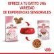 royal-canin-kitten-pouch-en-salsa-85-g-dieta-mixta