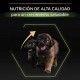 purina-pro-plan-puppy-large-robust-healthy-start-informacion-04