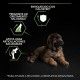 purina-pro-plan-puppy-large-robust-healthy-start-informacion-02