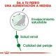 royal-canin-mini-ageing-12-informacion-02