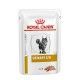 royal-canin-urinary-so-gato-sobre-pate