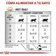 royal-canin-urinary-so-gato-sobre-pate-tabla