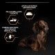 purina-pro-plan-everyday-nutrition-pollo-small-mini-adult-informacion-04