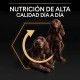 purina-pro-plan-everyday-nutrition-pollo-small-mini-adult-informacion-03