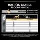 purina-pro-plan-everyday-nutrition-pollo-medium-adult-tabla