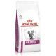 royal-canin-gatos-early-renal-dietas-15-kg