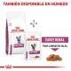 royal-canin-gatos-early-renal-dietas-15-kg-informacion-03