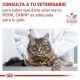 royal-canin-gatos-early-renal-dietas-15-kg-informacion-02