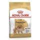 royal-canin-pomeranian-adult