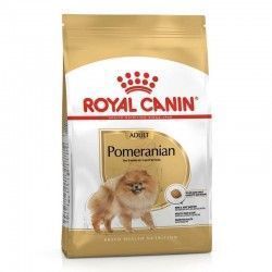 Royal Canin Perros POMERANIAN Adult