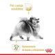 royal-canin-pomeranian-adult-beneficios
