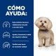 hill-s-prescription-diet-zd-food-sensitivities-mini-1-kg-como-ayuda