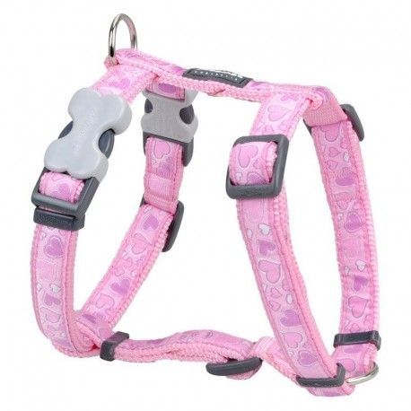 arnes-red-dingo-style-xl-25-mm-nailon