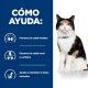 hills-feline-yd-thyroid-care-prescription-diet-15-kg-como-ayuda