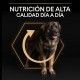 purina-pro-plan-everyday-nutrition-pollo-large-robust-adult-informacion-02