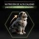 purina-pro-plan-puppy-medium-healthy-start-pollo-informacion