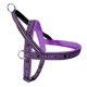 arnes-camon-neopreno-dynamic-confort-varias-tallas-y-colores-morado