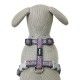 arnes-ajustable-red-dingo-hot-pink-cool-grey-nailon-varias-tallas-perro
