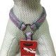 arnes-ajustable-red-dingo-hot-pink-cool-grey-nailon-varias-tallas-perro-04