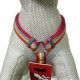 arnes-ajustable-red-dingo-rainbow-arcoiris-nailon-varias-tallas-perro-04