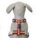 arnes-ajustable-red-dingo-rainbow-arcoiris-nailon-varias-tallas-perro