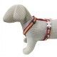 arnes-ajustable-red-dingo-rainbow-arcoiris-nailon-varias-tallas-perro-03