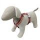 arnes-ajustable-red-dingo-rainbow-arcoiris-nailon-varias-tallas-perro-02