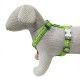 arnes-ajustable-red-dingo-monkey-lime-green-nailon-varias-tallas-perro-03
