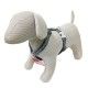 arnes-ajustable-red-dingo-modern-cool-grey-nailon-varias-tallas-perro-02