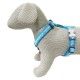arnes-ajustable-red-dingo-flamingo-turquoise-nailon-varias-tallas-perro-03