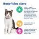 hills-vet-essentials-neutered-cat-weight-con-pollo-multi-benefit-beneficios
