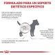 royal-canin-perros-low-fat-small-dogs-gastrointestinal-dietas-informacion
