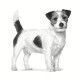 royal-canin-perros-low-fat-small-dogs-gastrointestinal-dietas-perro