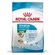 royal-canin-perros-mini-starter-mother-babydog