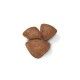 royal-canin-perros-mini-starter-mother-babydog-croqueta