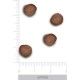 trovet-plus-gatos-hypoallergenic-insecto-fresco-croqueta