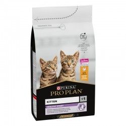 pro-plan-gato-kitten-pollo-varios-tamanos