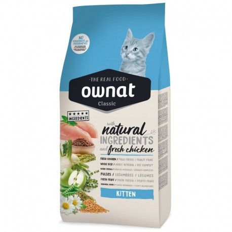ownat-gato-classic-kitten