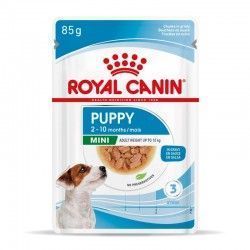 Royal Canin Perros MINI PUPPY Sobre/Pouch en salsa 85 g