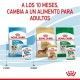 royal-canin-perros-puppy-mini-sobrepouch-en-salsa-85-g-02