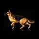 optima-nova-adult-mobility-pollo-y-arroz-perro