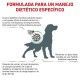 royal-canin-perros-diabetic-dietas-formula
