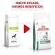 royal-canin-perros-diabetic-dietas-nuevo-envase